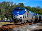 14 - Amtrak Silver Star
